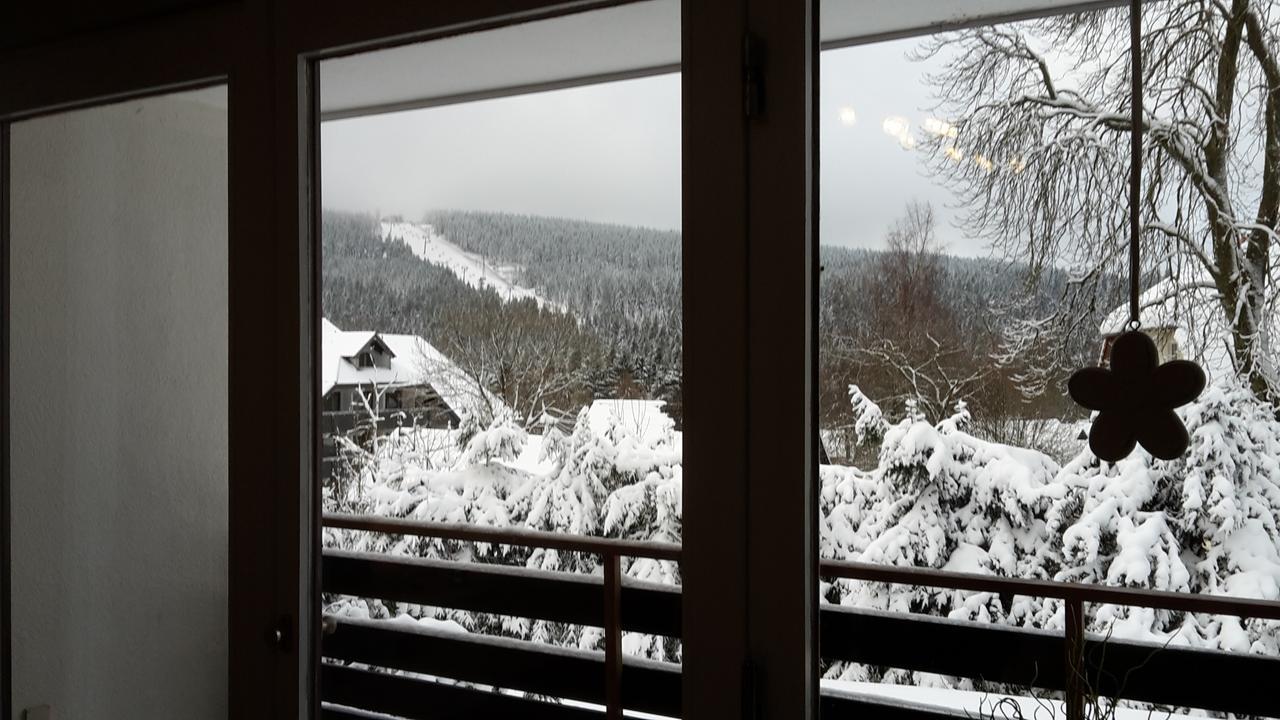 גוסלר Ferienwohnung Steffens Hahnenklee Wohnung 25 מראה חיצוני תמונה